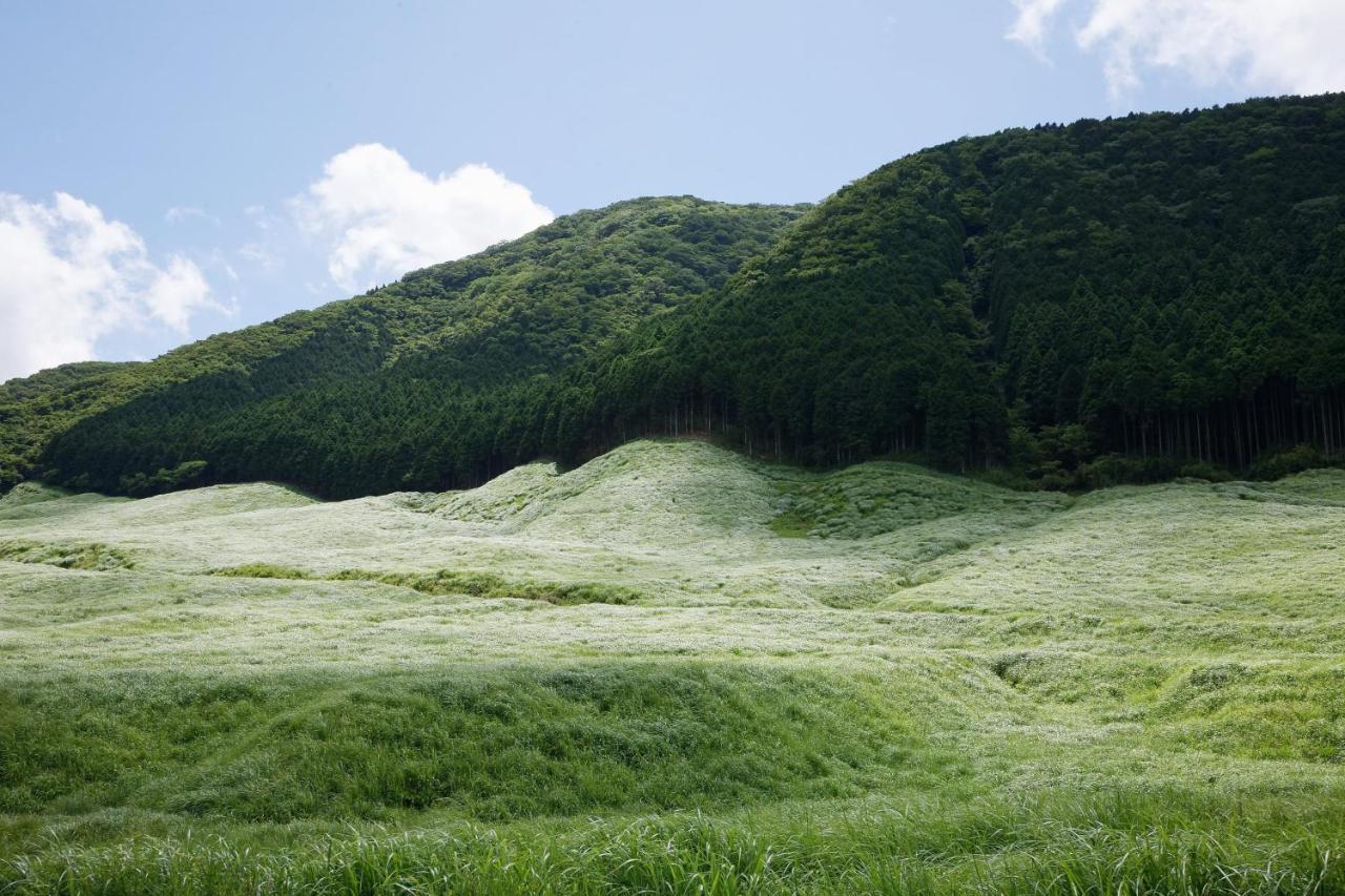 箱根 仙石原芒草原一之汤日式旅馆酒店 外观 照片